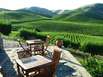 Wein ist die Seele der Region