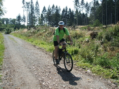 Im Wald unterwegs