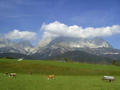Blick in der Region Gardasee